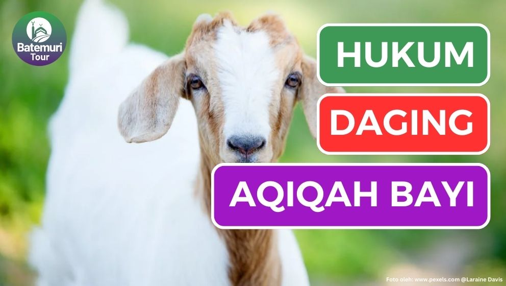 Hukum Daging Hewan Aqiqah: Sejarah, Pelaksanaan, dan Maknanya